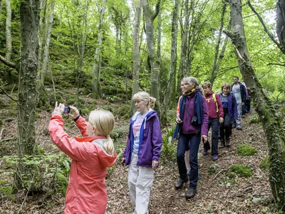 Group and guest taking photos in forrest in the Burren | yoga teachers retreat
