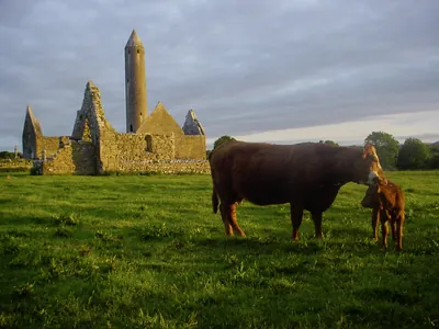 Kilmacduagh ruined monastry centuries old 1 | Retreat Venue Hire Ireland