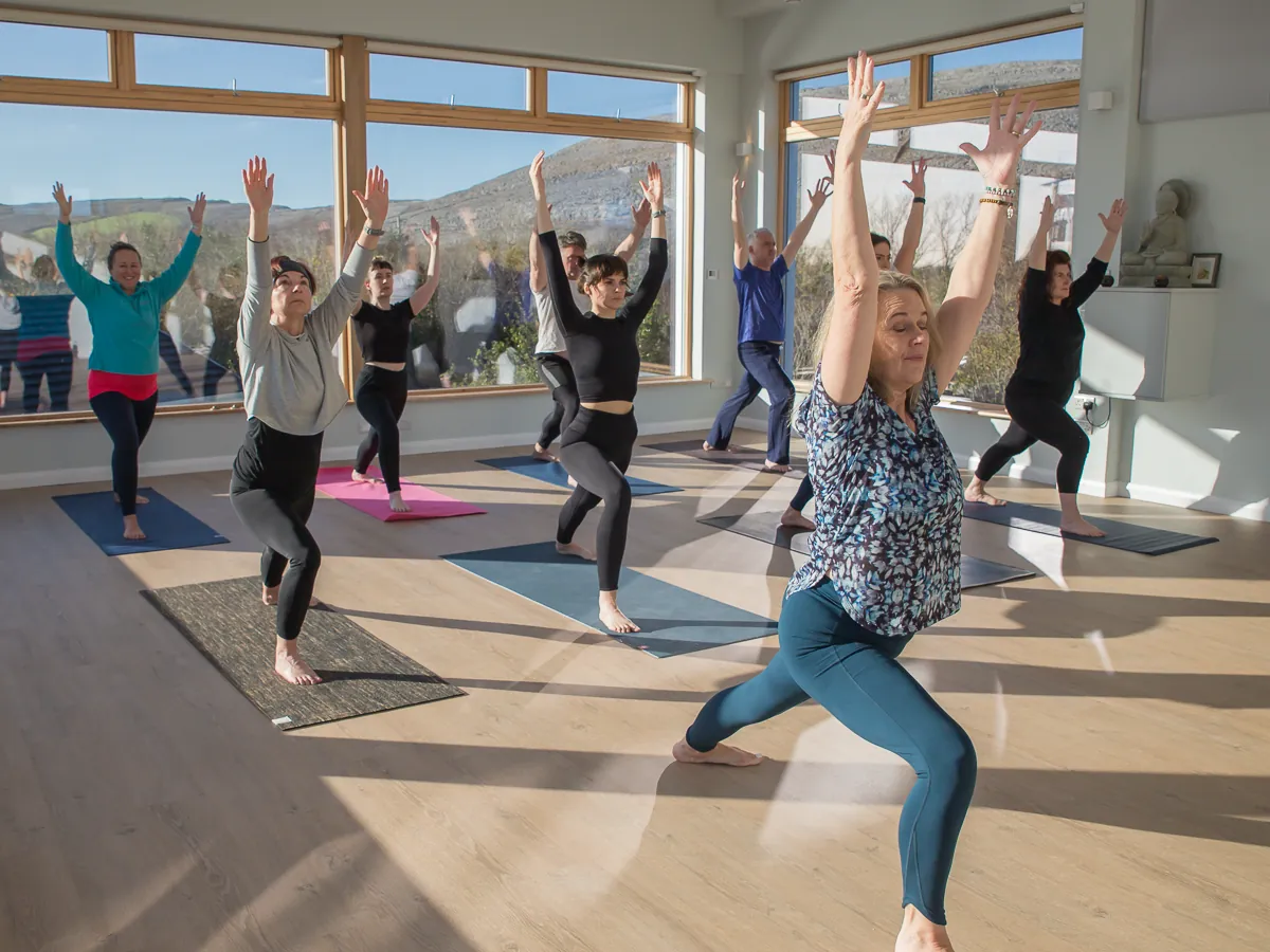 Vinyasa yoga workshop Ireland |