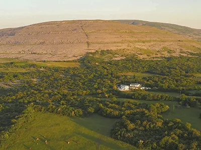 a house in a field
