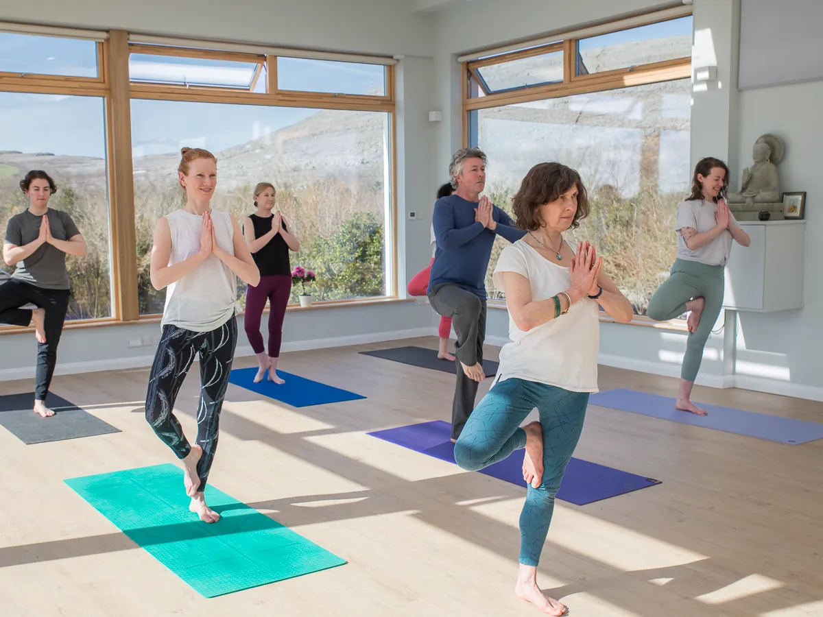 Breath led yoga and meditation workshop Ireland |