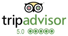 a logo with an owl and numbers