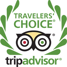 a logo with an owl and leaves