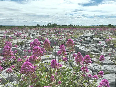 Valerium Burren Yoga hills | Retreat venue