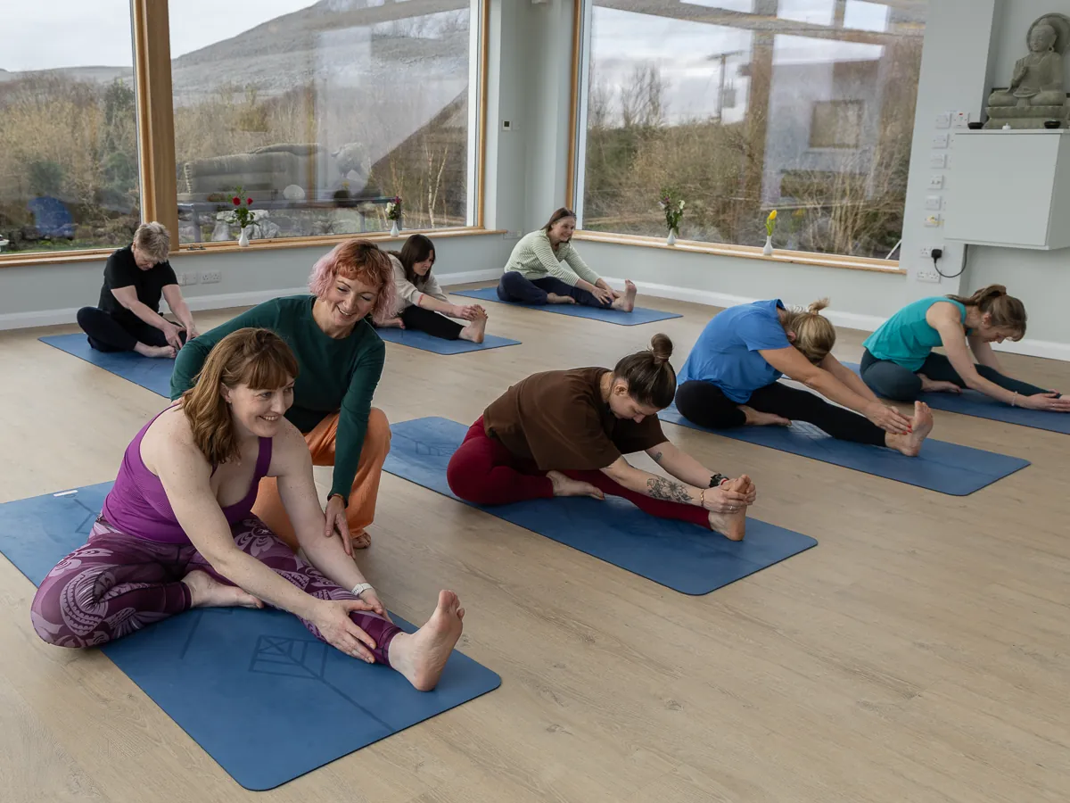 vini yoga Paula O Hanlon yoga | breath-work